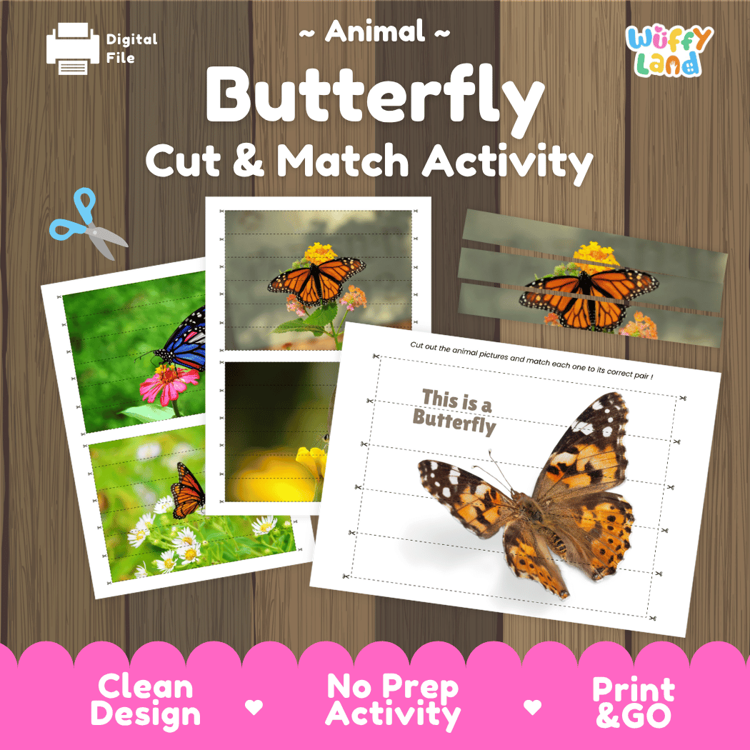 Butterfly Cut and Match Activity Printables Worksheets