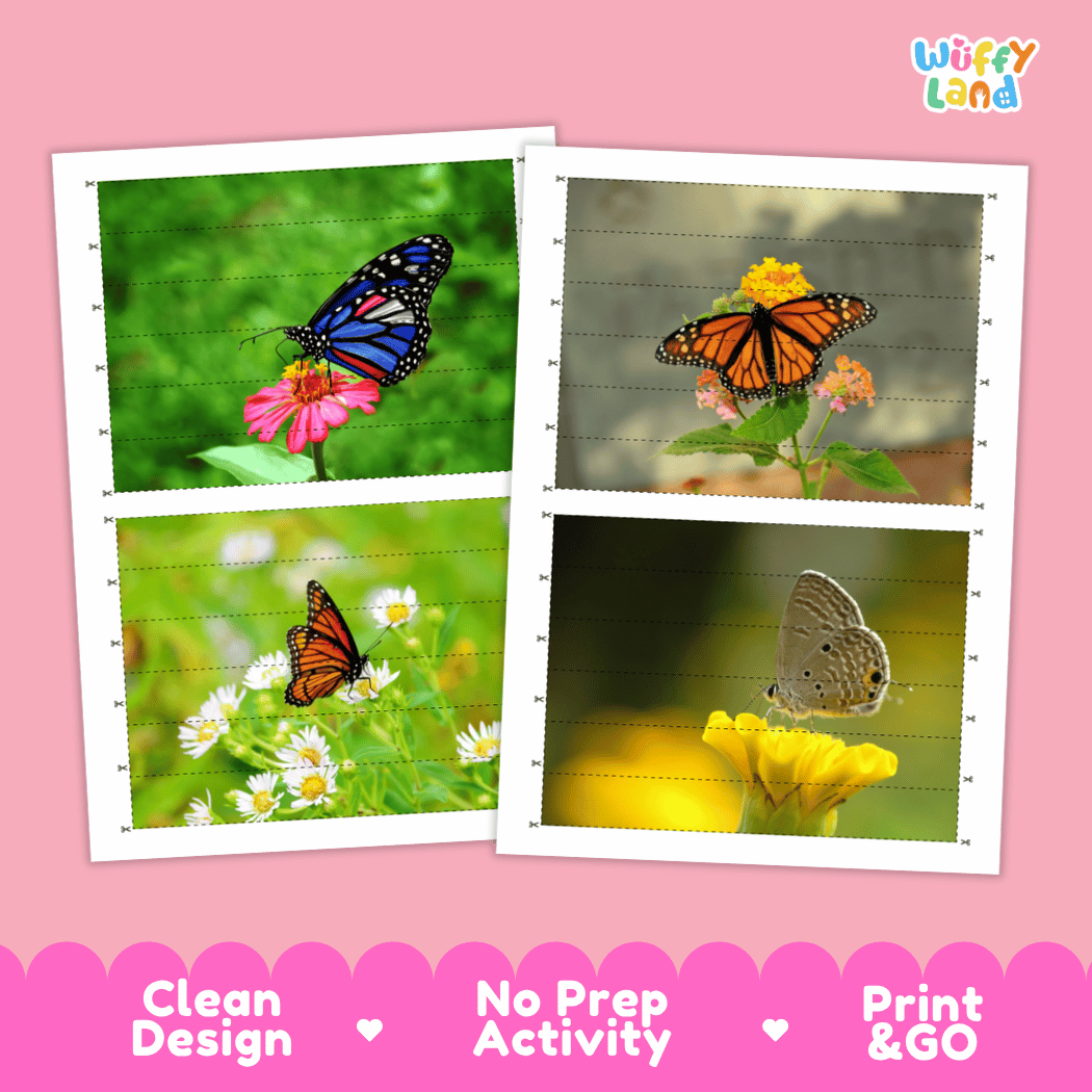 Butterfly Cut and Match Activity Printables Worksheets