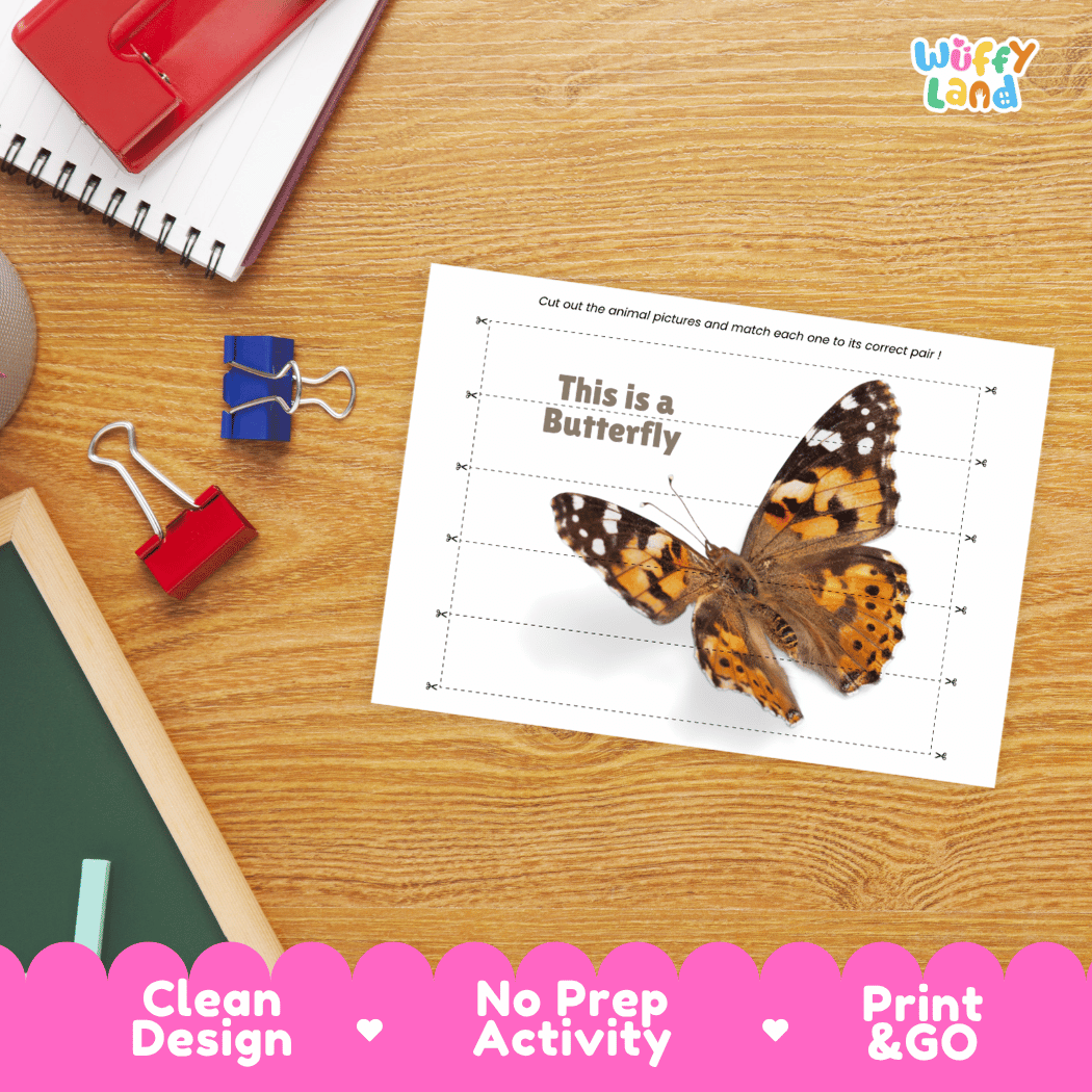 Butterfly Cut and Match Activity Printables Worksheets