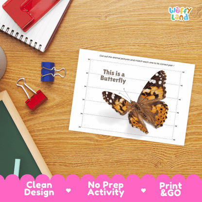 Butterfly Cut and Match Activity Printables Worksheets