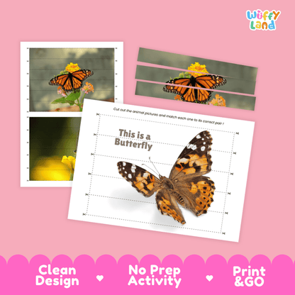 Butterfly Cut and Match Activity Printables Worksheets
