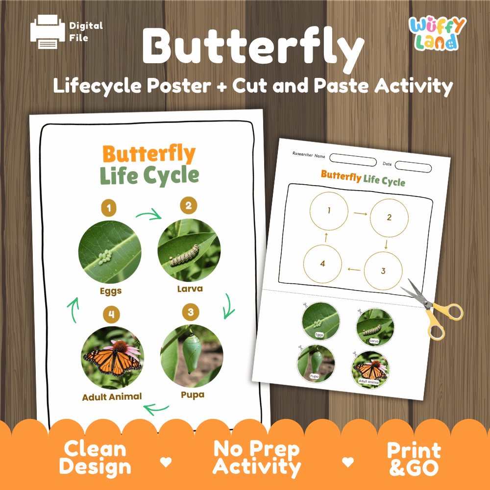 Butterfly Life Cycle Poster and Cut and Paste Activity Worksheets