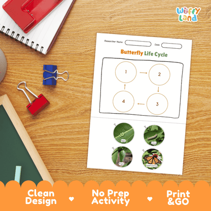 Butterfly Life Cycle Poster and Cut and Paste Activity Worksheets