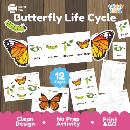 Butterfly Life Cycle Printable - Life Cycle Learning for Kids