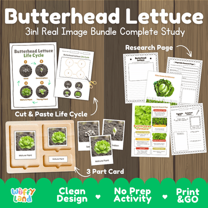 Butterhead lettuce 3in1 real image bundle complete study printable featuring life cycle cut and paste worksheets, Montessori 3-part cards, and research pages
