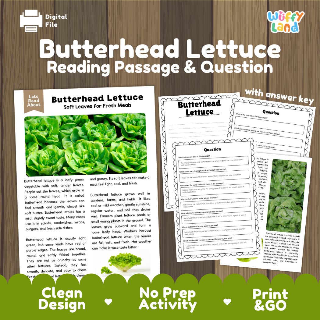 Butterhead lettuce reading comprehension passage and questions printable activity pack with answer key for elementary students