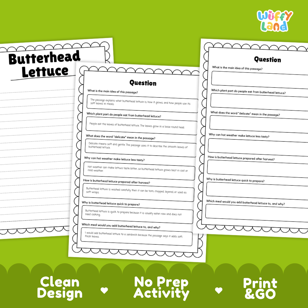 Informational reading passage page detailing butterhead lettuce anatomy soft leaves round head growth and fresh wraps with photos