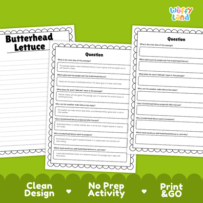 Informational reading passage page detailing butterhead lettuce anatomy soft leaves round head growth and fresh wraps with photos