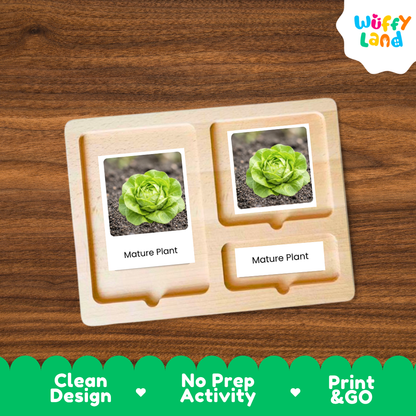 A wooden Montessori-style activity tray with two labeled slots reading 'Mature Plant,' each holding a small plant photo, shown on a wood-grain surface. A 'Wuffy Land' logo appears in the top right, and a green banner at the bottom highlights 'Clean Design,' 'No Prep Activity,' and 'Print & GO.