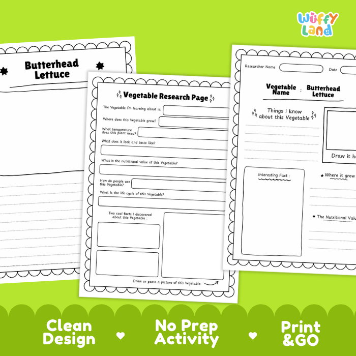 Butterhead Lettuce Vegetable Research Project Worksheets and Fact Sheet