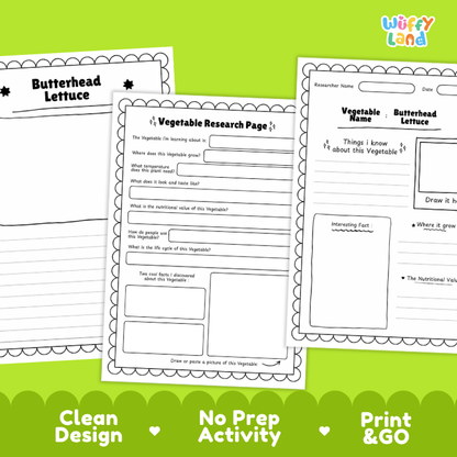 Butterhead Lettuce Vegetable Research Project Worksheets and Fact Sheet