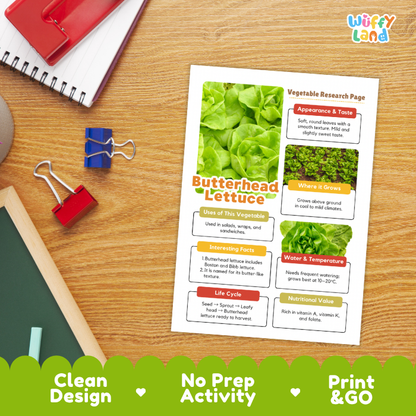 Butterhead Lettuce Vegetable Research Project Worksheets and Fact Sheet