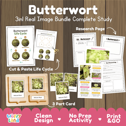Butterwort carnivorous plant life cycle 3-in-1 complete study bundle featuring real images, Montessori 3-part cards, cut and paste activities, and research pages