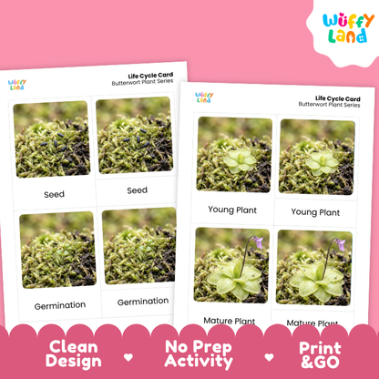 Two printed butterfly plant life cycle cards shown on a pink background, with the Wiffy Land logo in the top right and promotional text along the bottom.