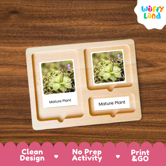 A wooden educational activity tray from Wuffy Land, featuring two photo slots displaying pictures of a mature plant with the text 'Mature Plant'. The tray is placed on a dark wood background, with a pink decorative banner at the bottom highlighting key selling points: 'Clean Design', 'No Prep Activity', and 'Print & GO'.
