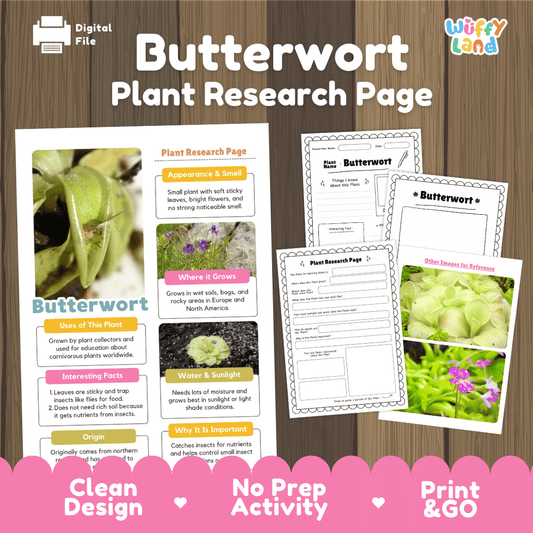 Educational butterwort plant research worksheets and informational fact sheets with real plant photos for elementary students