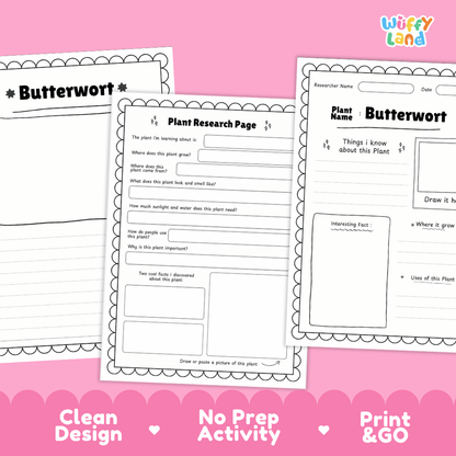 Butterwort Plant Research Page Worksheets and Fact Sheet