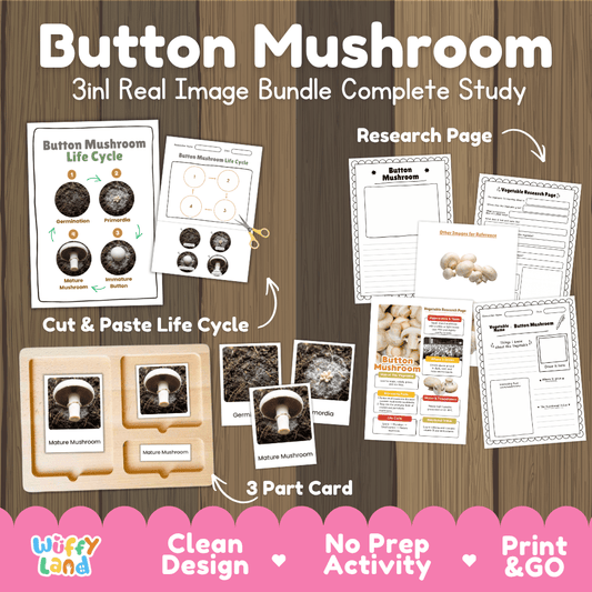 Button mushroom 3in1 real image bundle complete study printable featuring life cycle cut and paste worksheets, Montessori 3-part cards, and research pages