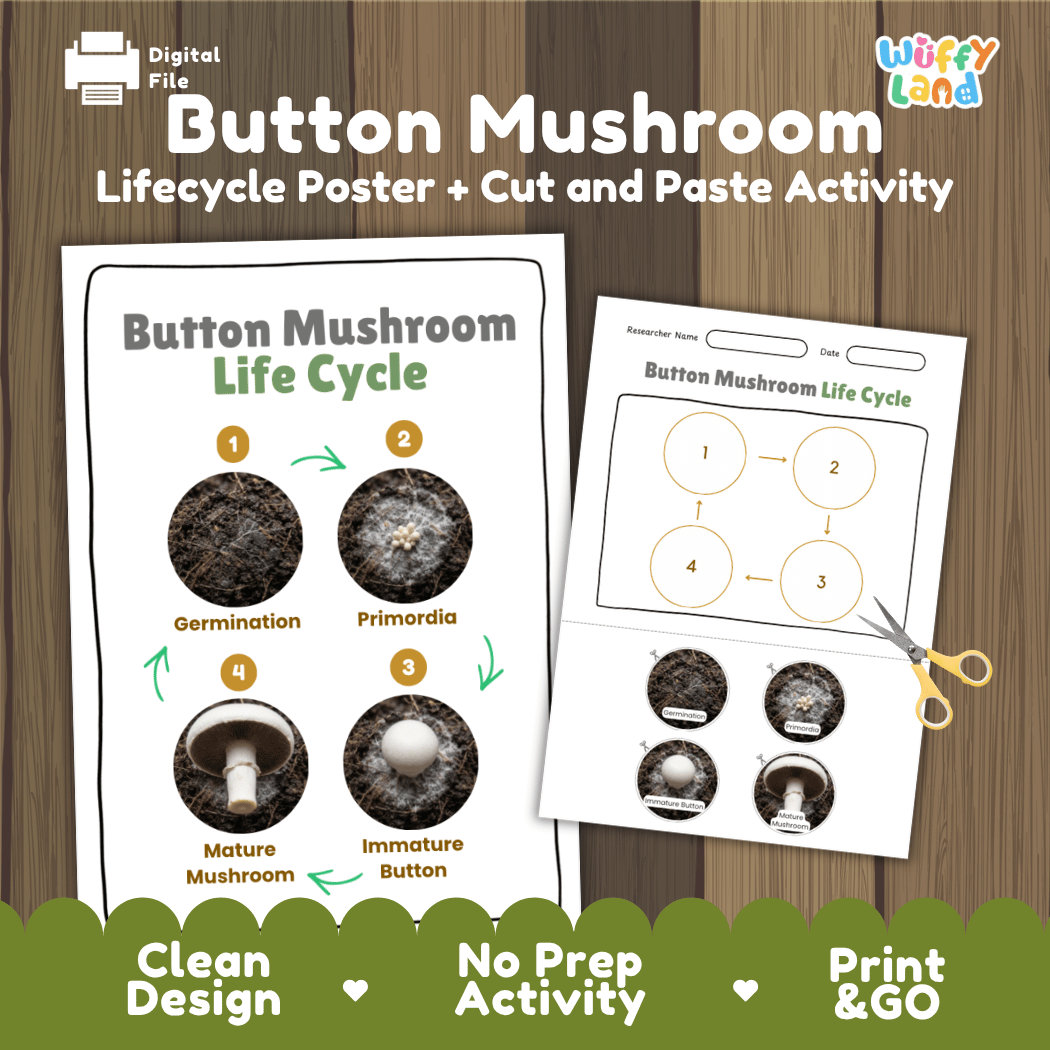 Button mushroom fungi life cycle educational printable pack cover showing visual reference poster and cut and paste sequencing worksheet with real photography