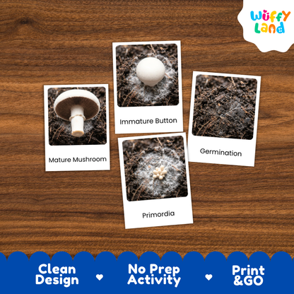 Four educational mushroom growth cards on a brown wood background, showing labeled stages: Mature Mushroom, Immature Button, Germination, and Primordia. A white cloud logo reading 'Wuffy Land' appears in the top right, and a blue banner at the bottom highlights 'Clean Design', 'No Prep Activity', and 'Print & GO'.