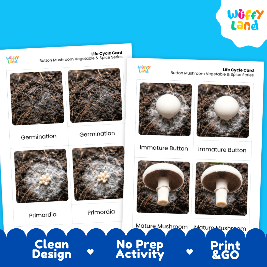 Two printed educational cards titled 'Life Cycle Card' for button mushroom vegetable and spice series, showing labeled photos of germination, primordia, immature button, and mature mushroom stages. The cards are shown on a bright blue background with a Wiffy Land logo and marketing text along the bottom.
