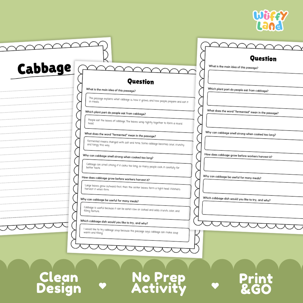 Informational reading passage page detailing cabbage plant anatomy tight leaf heads growing cycles and cooking uses with photos