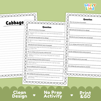 Informational reading passage page detailing cabbage plant anatomy tight leaf heads growing cycles and cooking uses with photos