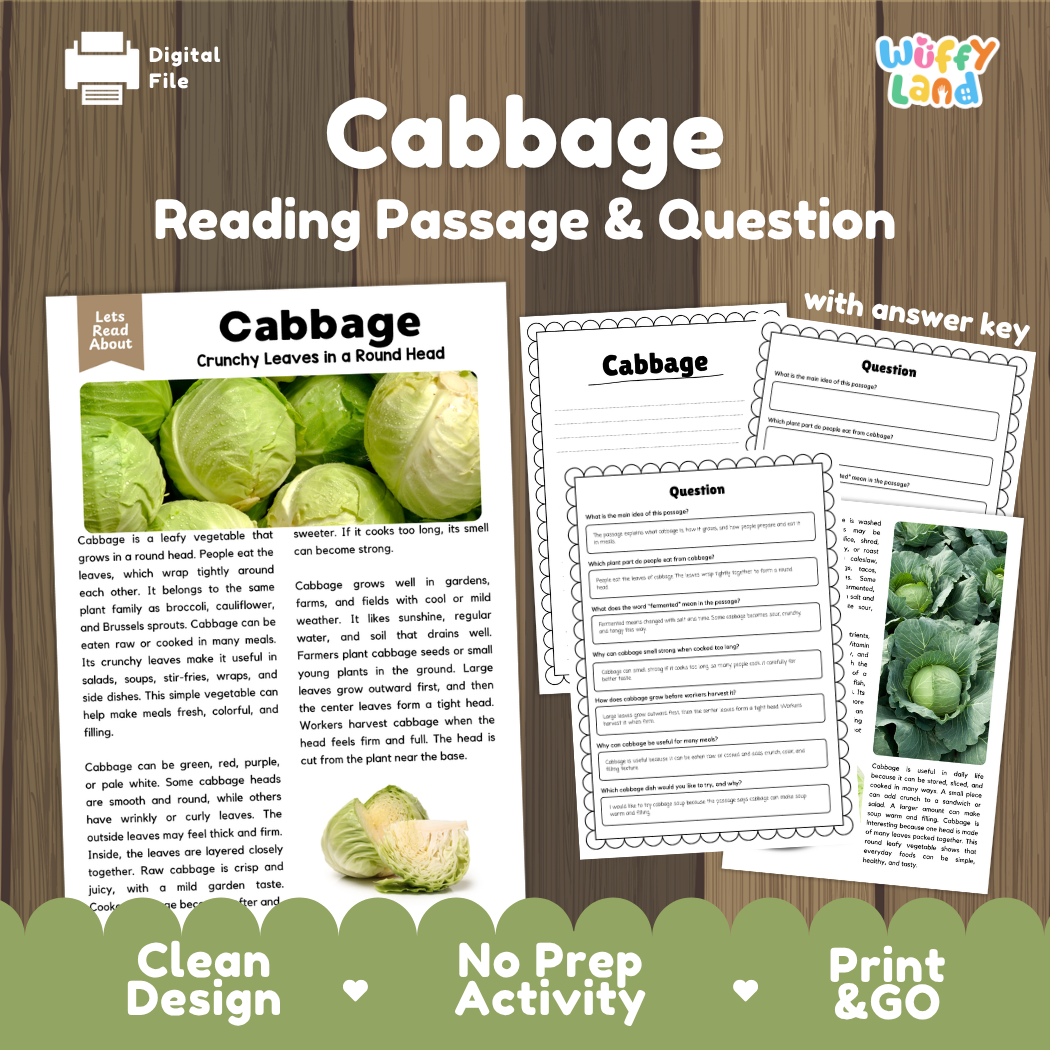 Cabbage reading comprehension passage and questions printable activity pack with answer key for elementary students