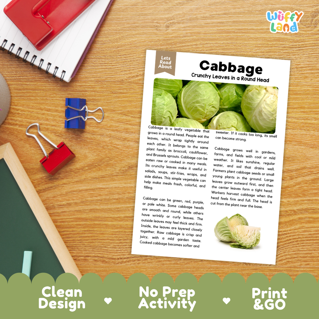 Student reading comprehension worksheet with short-answer questions and lined sections about cabbage vegetables