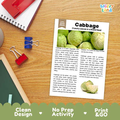 Student reading comprehension worksheet with short-answer questions and lined sections about cabbage vegetables