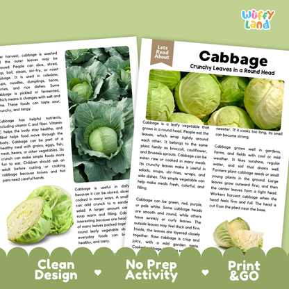 Teacher answer key page showing complete question solutions for cabbage reading comprehension practice