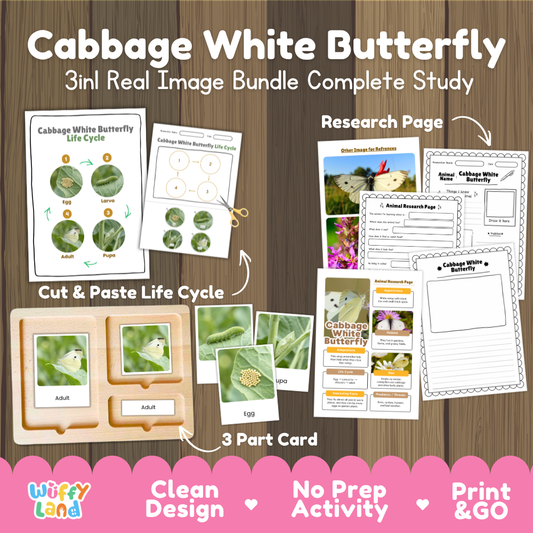 Cabbage White Butterfly 3-in-1 real image bundle complete study cover showing cut and paste life cycle, 3 part cards, and research pages
