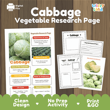 Cabbage Vegetable Research Page Science Worksheets and Fact Sheet