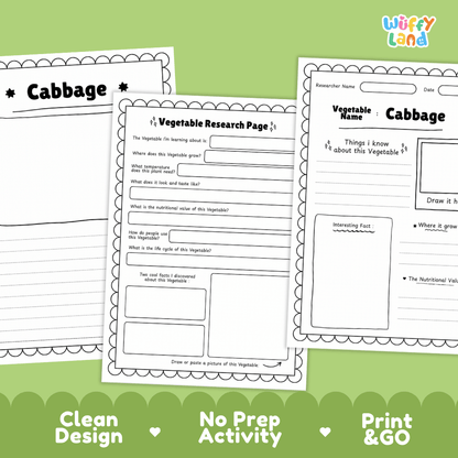 Cabbage Vegetable Research Page Science Worksheets and Fact Sheet