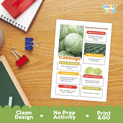 Cabbage Vegetable Research Page Science Worksheets and Fact Sheet