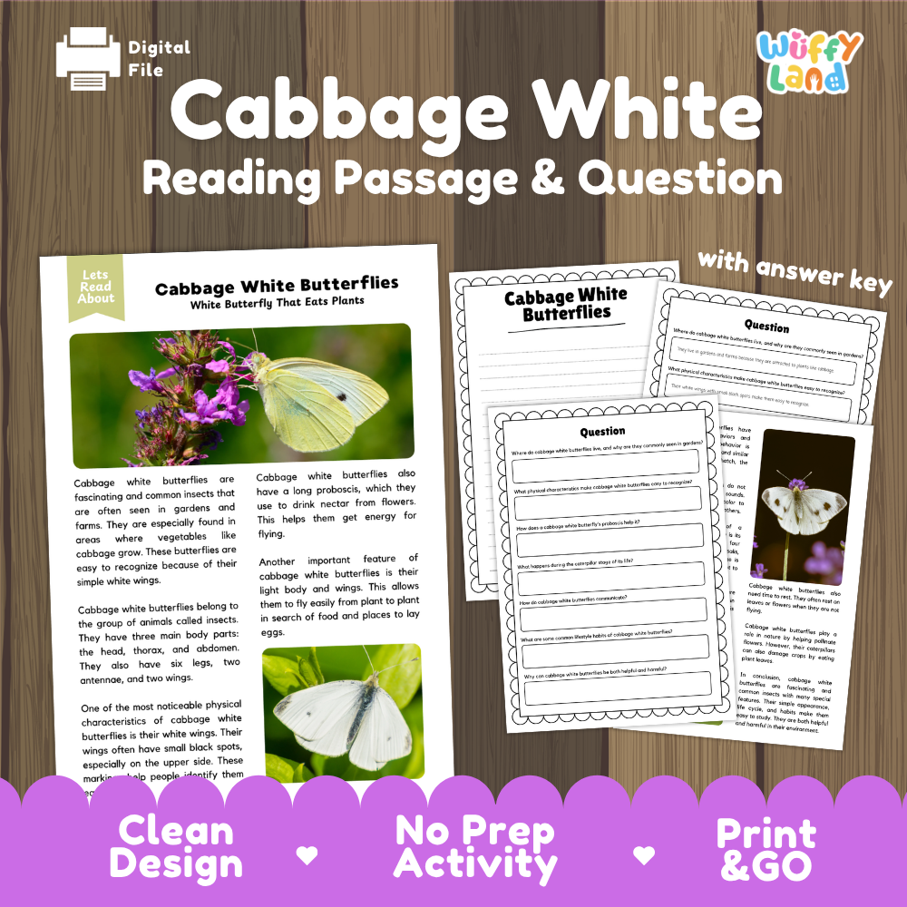 Digital reading activity product cover for 'Cabbage White Reading Passage & Question' by Wiffy Land, showing sample worksheet pages and a wooden background with promotional text at the bottom.