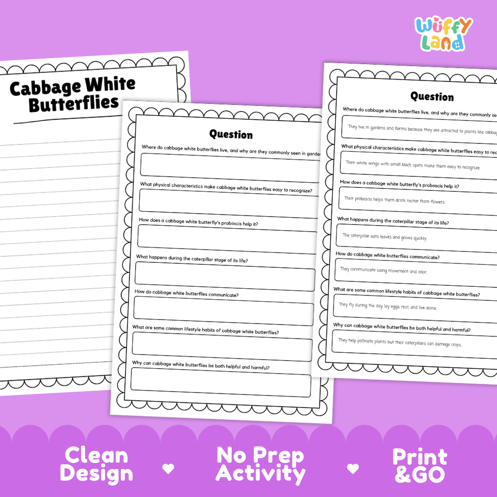 Three printable worksheet pages about cabbage white butterflies on a purple background, with the title 'Cabbage White Butterflies' on one page and text at the bottom reading 'Clean Design', 'No Prep Activity', and 'Print & GO'. The 'Wiffly Land' logo appears in the top right.