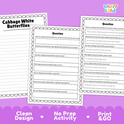 Three printable worksheet pages about cabbage white butterflies on a purple background, with the title 'Cabbage White Butterflies' on one page and text at the bottom reading 'Clean Design', 'No Prep Activity', and 'Print & GO'. The 'Wiffly Land' logo appears in the top right.