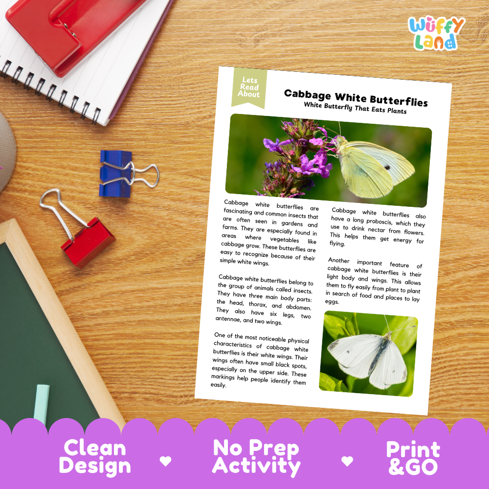 Cabbage White Butterflies Reading Passage and Comprehension Questions Worksheets