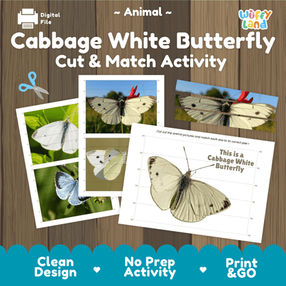 Cabbage White Butterfly Cut and Match Activity Printables Worksheets