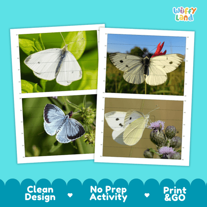 Cabbage White Butterfly Cut and Match Activity Printables Worksheets