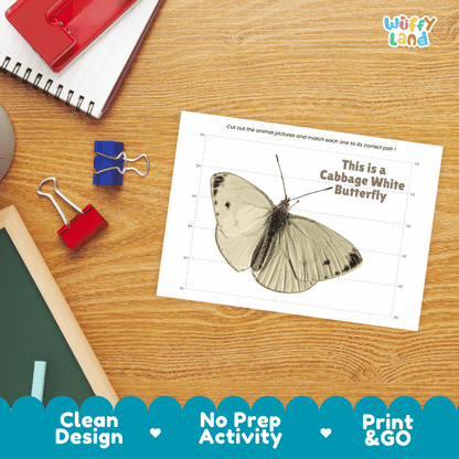 Cabbage White Butterfly Cut and Match Activity Printables Worksheets