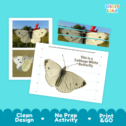Cabbage White Butterfly Cut and Match Activity Printables Worksheets