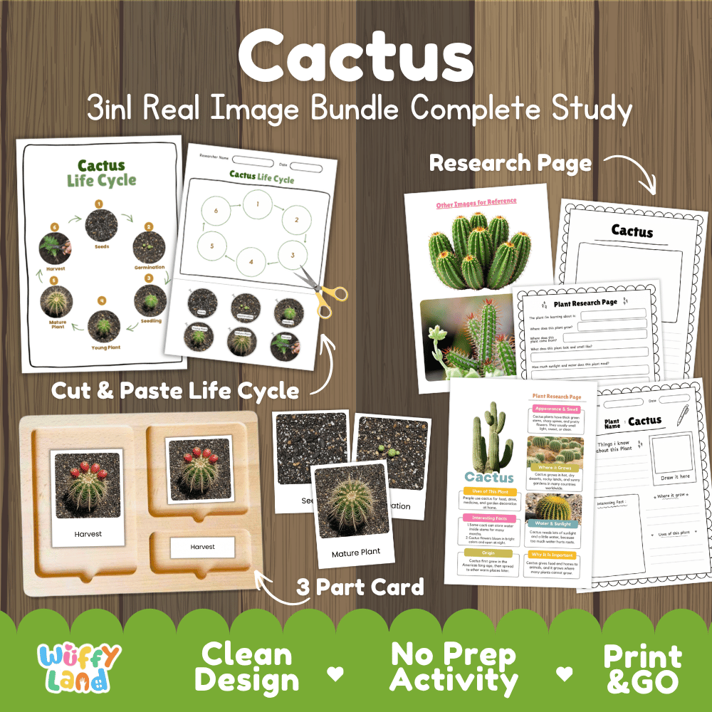 Cactus plant 3in1 real image bundle complete study printable featuring life cycle cut and paste worksheets, Montessori 3-part cards, and research pages