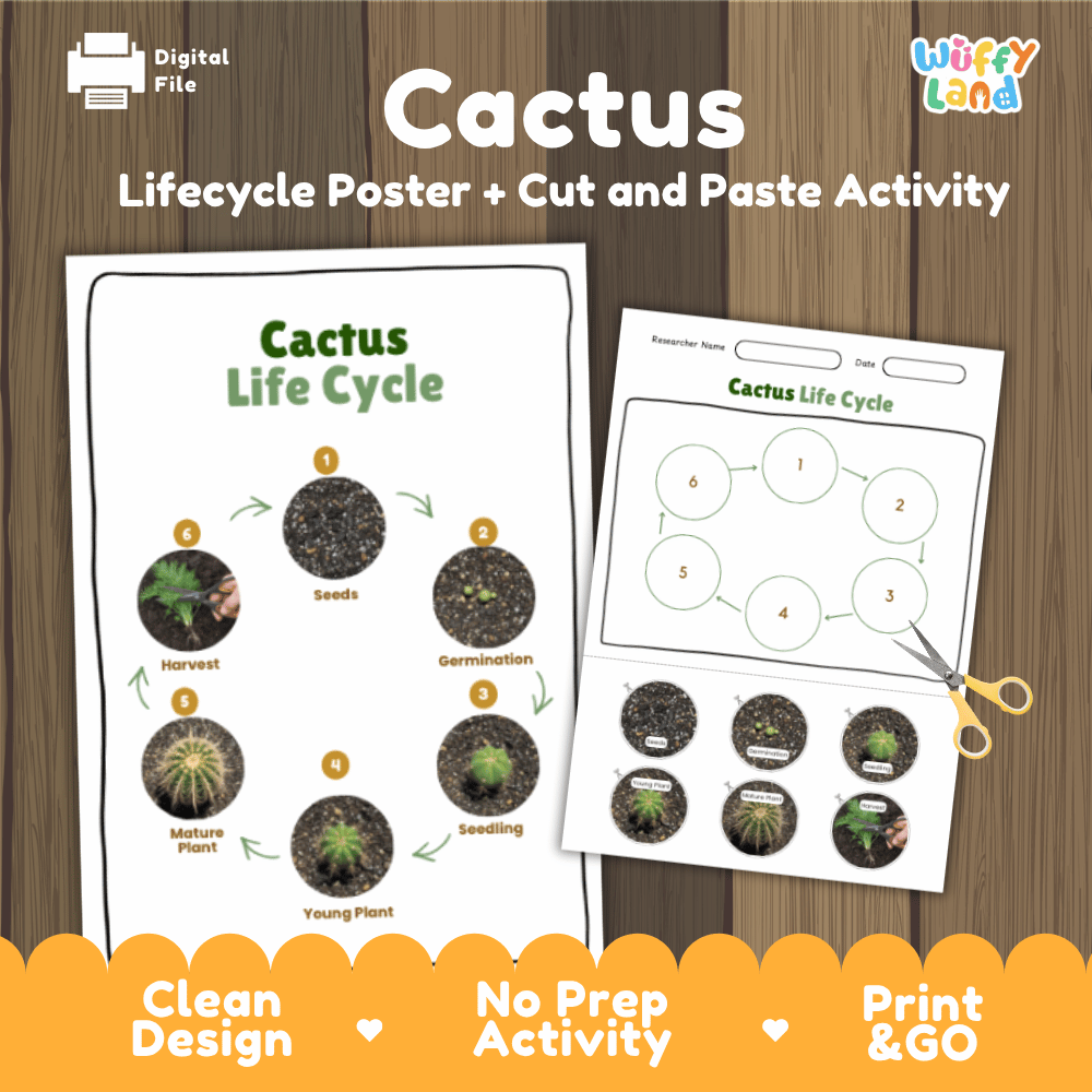 Cactus Lifecycle Poster and Cut and Paste Activity Worksheets | Plant Science Printables