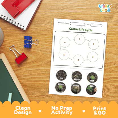 Cactus Lifecycle Poster and Cut and Paste Activity Worksheets | Plant Science Printables