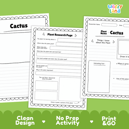 Cactus Plant Research Page Worksheets and Graphic Organizers