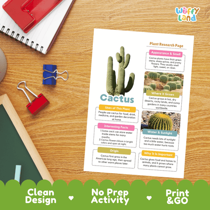 Cactus Plant Research Page Worksheets and Graphic Organizers