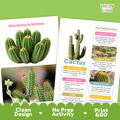 Cactus Plant Research Page Worksheets and Graphic Organizers