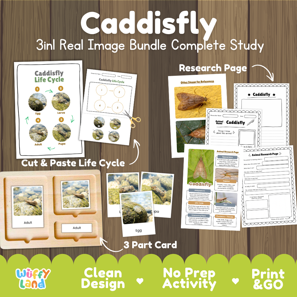 Caddisfly 3-in-1 real image bundle complete study cover showing cut and paste life cycle, 3 part cards, and research pages